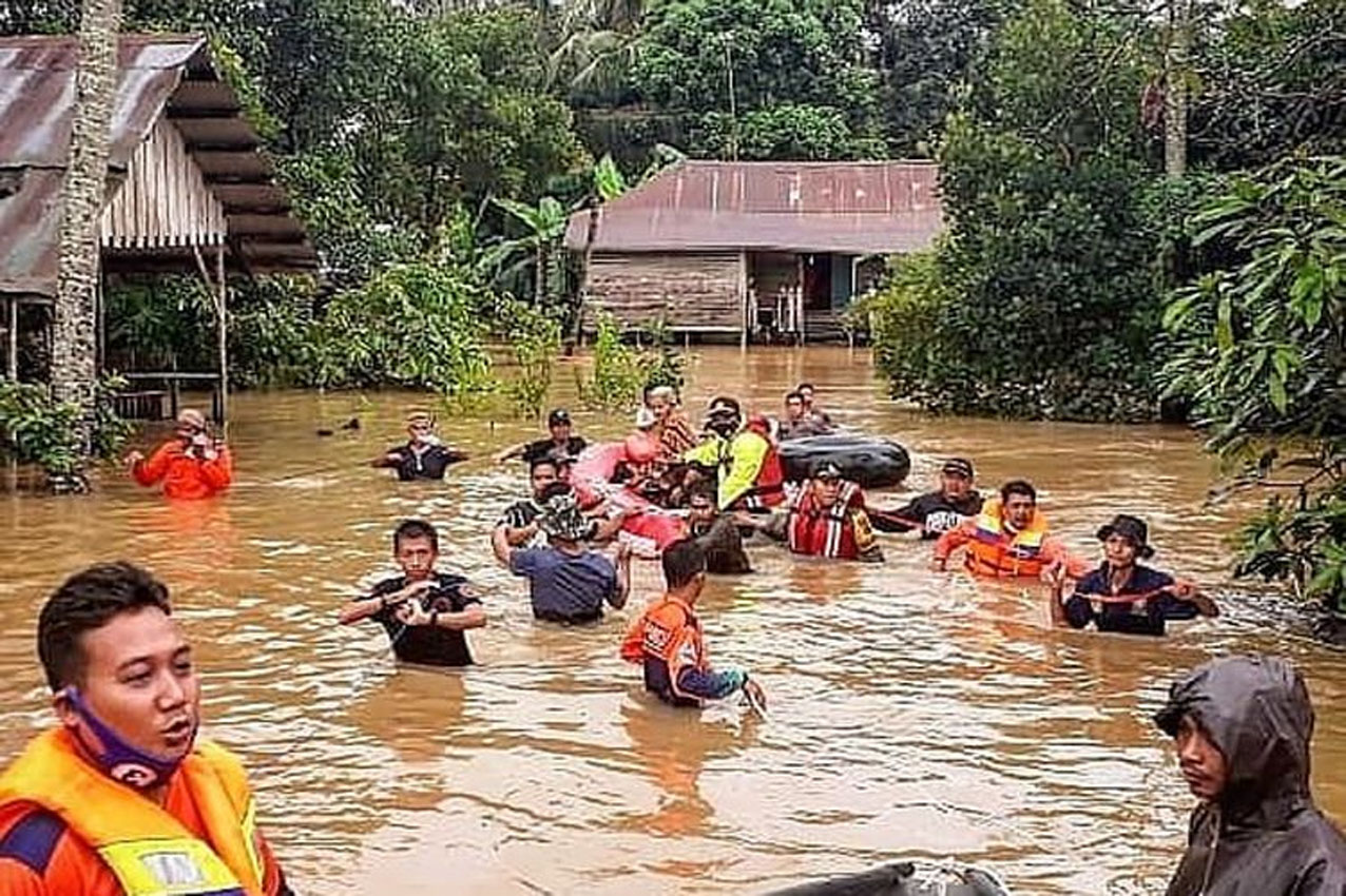 Banjir Bandang, Ratusan Ribu Hektare Hutan Kalsel Jadi Perkebunan Kelapa Sawit