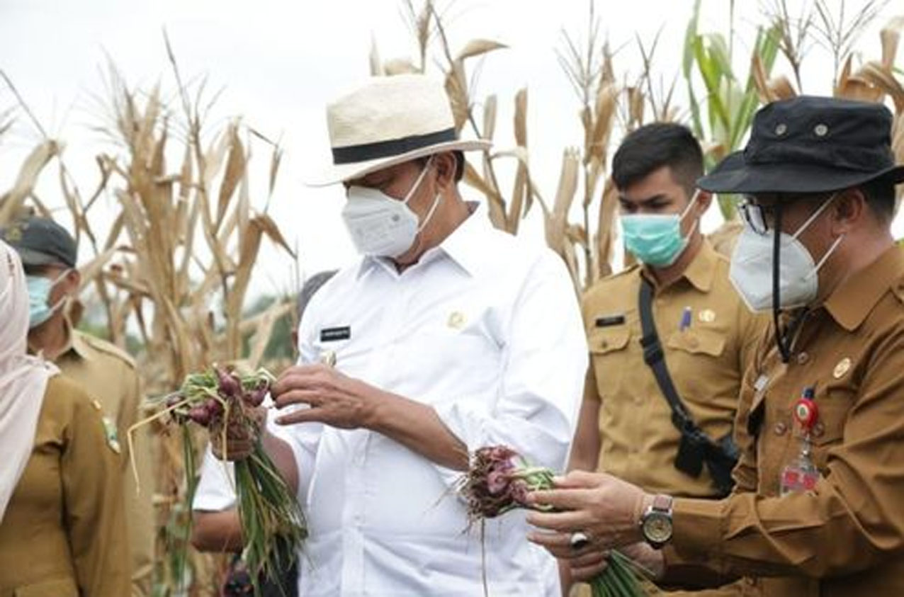 Pemrov Banten Maksimalkan sektor Pertanian dan Kelautan