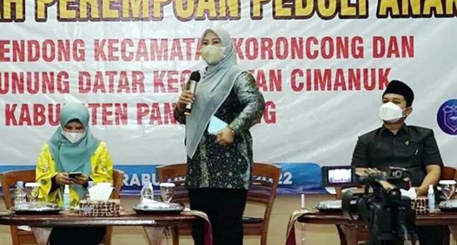 Bupati Irna Launching 'DRPPA' Desa Ramah Perempuan dan Peduli Anak