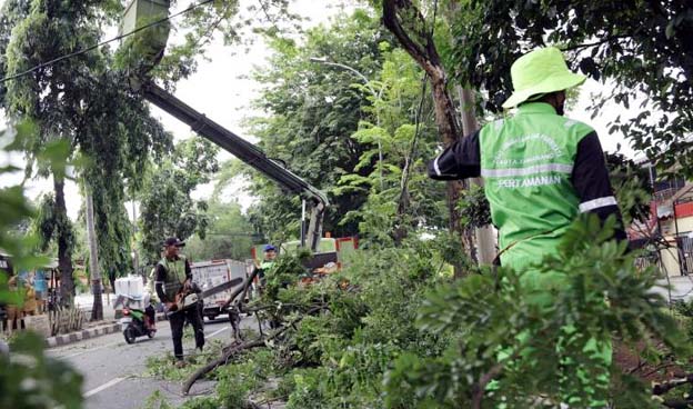 Disbudpar Kota Tangerang Lakukan Pemangkasan Pohon di sejumlah Titik