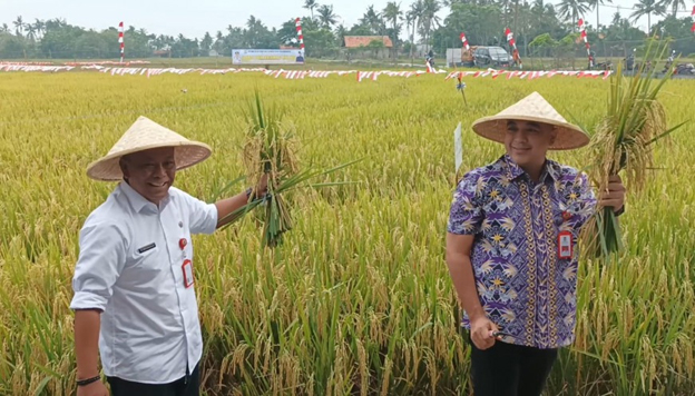 Pemkab Tangerang Perkuat Ketahanan Pangan Melalui Terobosan