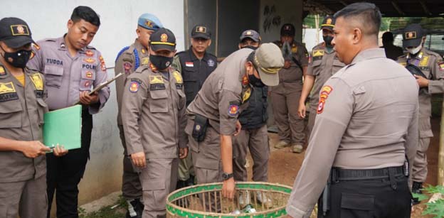 Satpol PP Kabupaten Tangerang Tindak PKL Karena Melanggar Perda