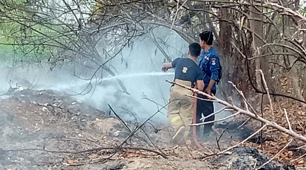 Kasatpol PP Tinjau Pembakaran Limbah di Sindang Jaya dan Rajeg