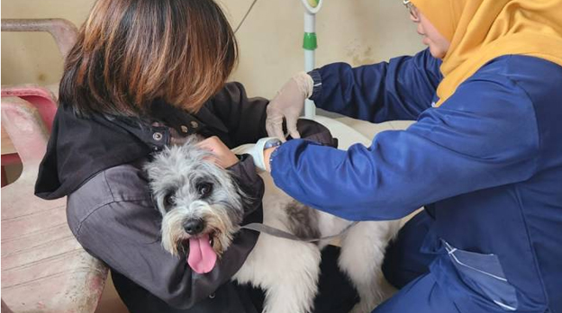 Pemkot Tangerang Berikan Vaksinasi Rabies Secara Gratis