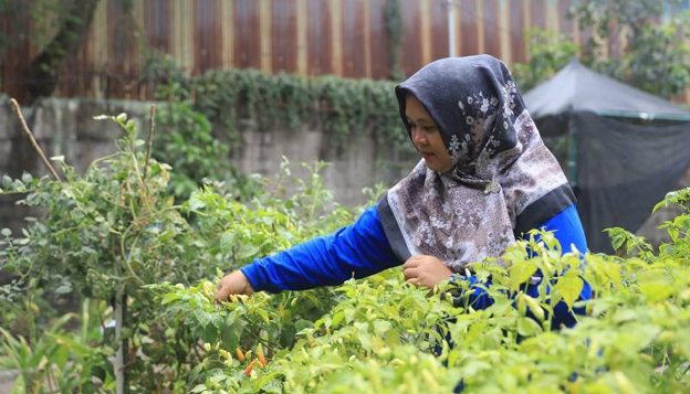 Program Maklor TP PKK Kecamatan Periuk Sukses Turunkan Stunting