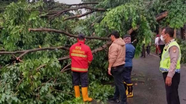 BPBD Kota Tangerang Atasi Pohon Tumbang di Jalan Daan Mogot