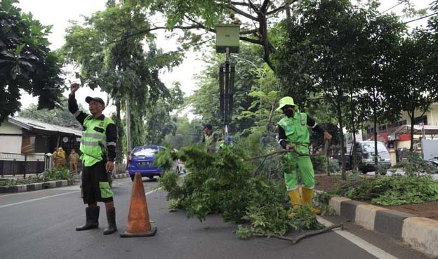 Pemkot Tangerang Buka Layanan Pemangkasan Pohon Perumahan