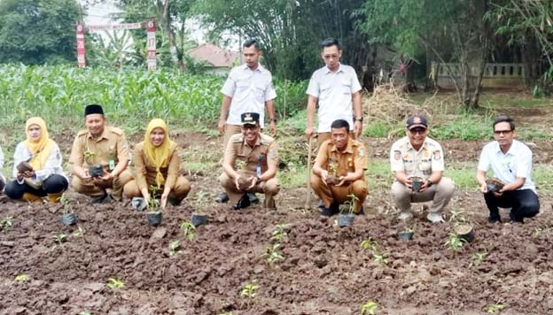 Ketahanan Pangan, Warga Sukamulya Tanam Cabai di Pekarangan