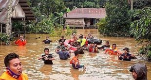 Banjir Bandang, Ratusan Ribu Hektare Hutan Kalsel Jadi Perkebunan Kelapa Sawit