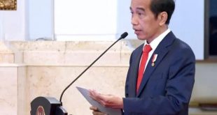 Presiden Jokowi Perkenalkan Jajaran Dewan Pengawas dan Direktur INA