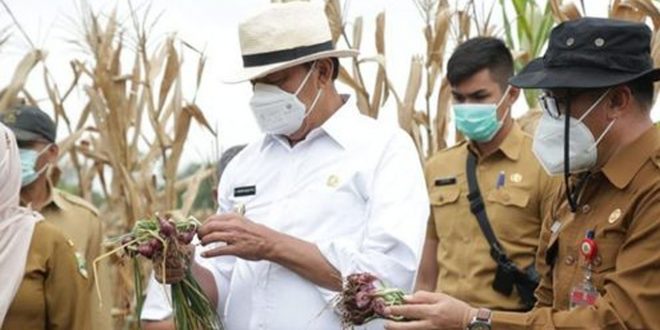 Pemrov Banten Maksimalkan sektor Pertanian dan Kelautan