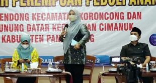 Bupati Irna Launching 'DRPPA' Desa Ramah Perempuan dan Peduli Anak