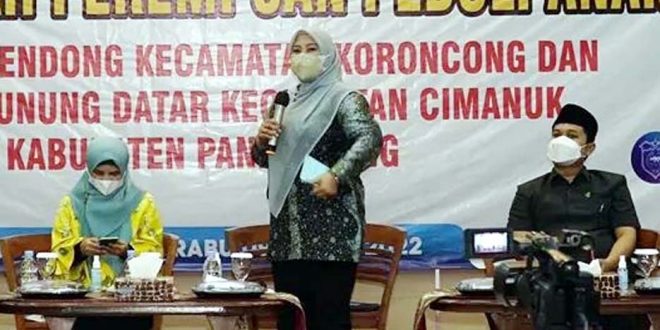 Bupati Irna Launching 'DRPPA' Desa Ramah Perempuan dan Peduli Anak