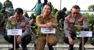 Pj Gubernur Banten Hadiri Penanaman Mangrove Serentak