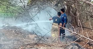 Kasatpol PP Tinjau Pembakaran Limbah di Sindang Jaya dan Rajeg