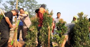 Atasi Polusi Udara, Pemkot Tangerang Tekankan Mitigasi Kolaborasi