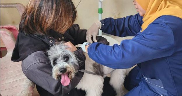 Pemkot Tangerang Berikan Vaksinasi Rabies Secara Gratis