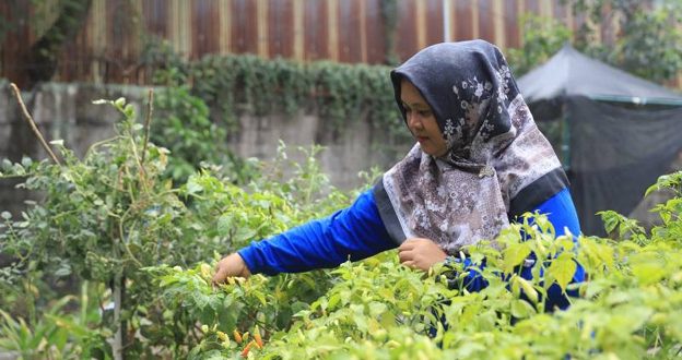 Program Maklor TP PKK Kecamatan Periuk Sukses Turunkan Stunting
