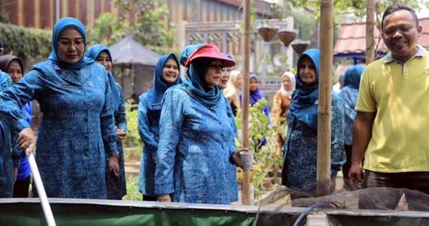 PKK Kota Tangerang Raih Prestasi di Tingkat Provinsi Banten