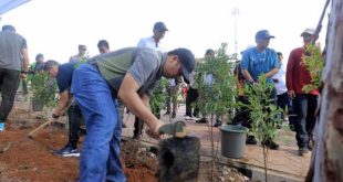 Pemkot Tangerang Gelar Kerja Bakti Massal di 13 Kecamatan