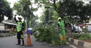 Pemkot Tangerang Buka Layanan Pemangkasan Pohon Perumahan