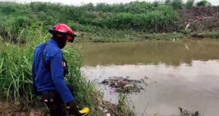 BPBD Kota Tangerang Telusuri Penampakan Buaya di Kali Sabi