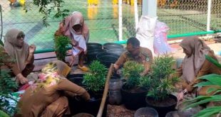 Peduli Lingkungan, Kelurahan Cimone Masifkan Penanaman Pohon