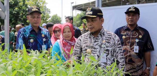 Pj Walikota Tangerang Buka Panen Raya Sayuran di Larangan