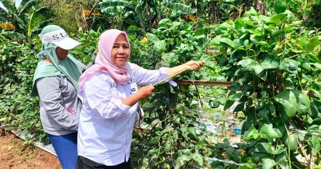 Desa Mekarsari Rajeg Jadi Lokus Rumah Pangan B2SA Kabupaten Tangerang