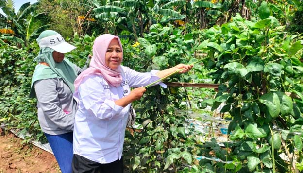 Desa Mekarsari Rajeg Jadi Lokus Rumah Pangan B2SA Kabupaten Tangerang