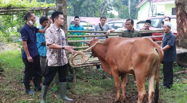 DPKP Kabupaten Tangerang AwasI Lapak Penjual Hewan Kurban