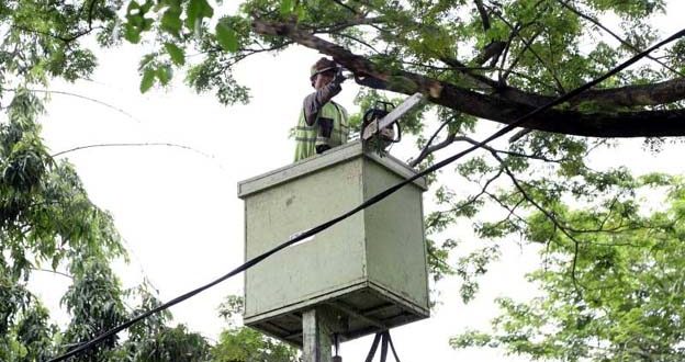 Disbudpar Kota Tangerang Buka Layanan Pemangkasan Pohon