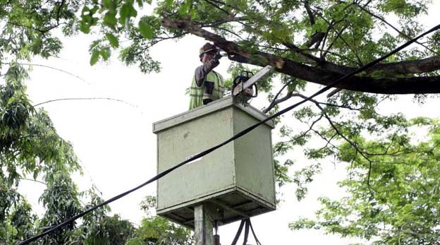 Disbudpar Kota Tangerang Buka Layanan Pemangkasan Pohon