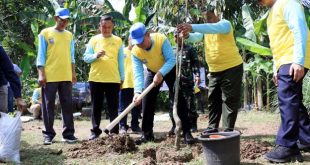 Peringati HLH Sedunia, Pemkab Serang Tanam Seribu Pohon