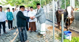 Pemkot Tangsel Salurkan 94 Hewan Kurban Idul Adha 1445 H