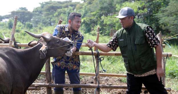 Pemkot Tangerang Lakukan Surveilans Penyakit Hewan Ternak