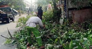 Pemkot Tangerang Buka Layanan Pemangkasan Pohon Gratis