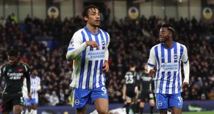 Brighton Menahan Imbang Arsenal 1-1 di Liga Premier