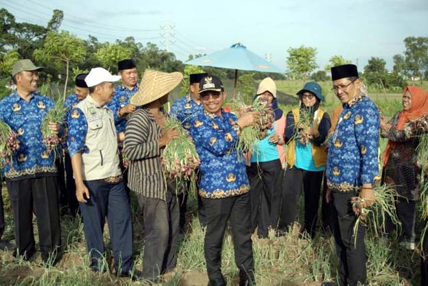 Pemkot Tangerang Panen 1,5 Ton Bawang Merah dan 5 Ton Melon