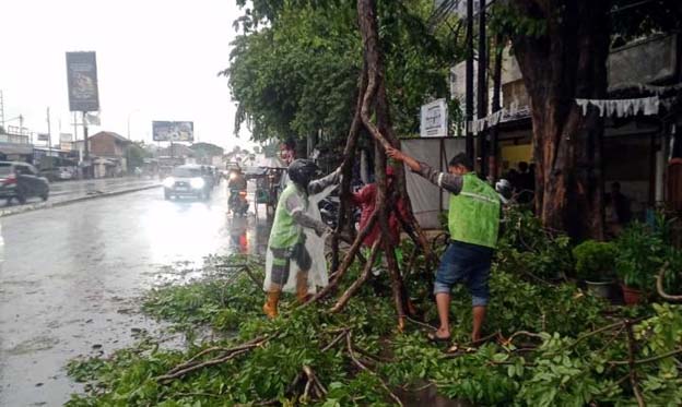 Petugas BPBD Kota Tangerang Tangani Pohon Tumbang Dampak Hujan Deras