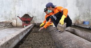 Pemkot Tangerang Optimalkan Budidaya Maggot di ITF Jatiuwung