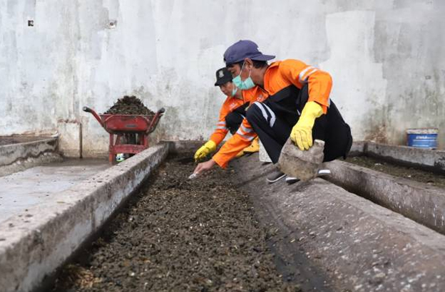 Pemkot Tangerang Optimalkan Budidaya Maggot di ITF Jatiuwung