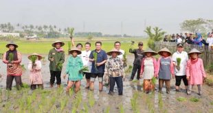 Pemkab Tangerang Majukan Pertanian Untuk Ketahanan Pangan