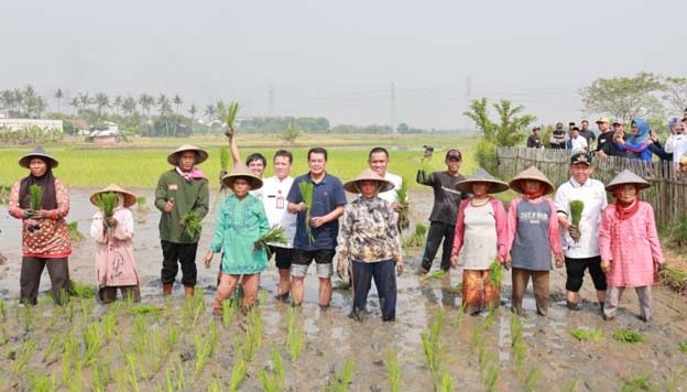 Pemkab Tangerang Majukan Pertanian Untuk Ketahanan Pangan