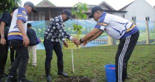 Walikota Tangerang Ikuti Aksi Tanam Pohon Bareng Apeksi