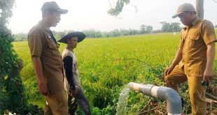 Pemkab Tangerang Perkuat Mitigasi Sektor Pertanian