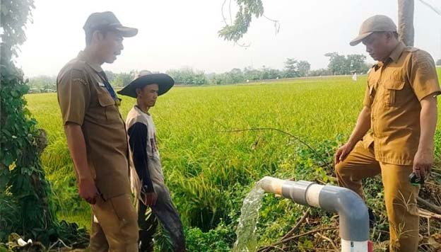 Pemkab Tangerang Perkuat Mitigasi Sektor Pertanian